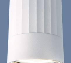 Точечный светильник DLN111 GU10 белый