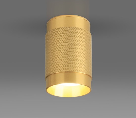 Точечный светильник DLN109 GU10 золото