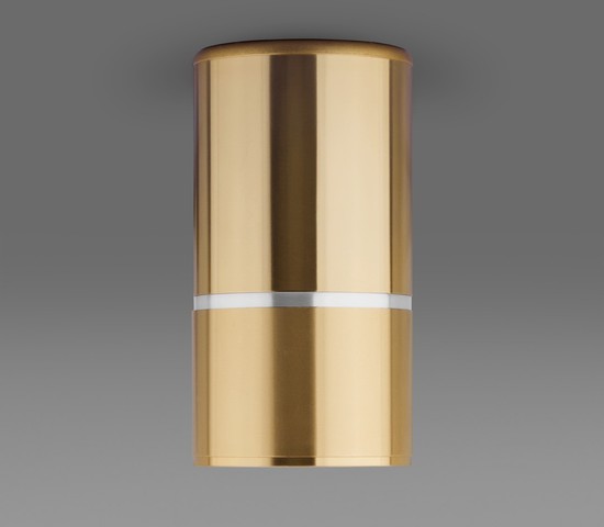 Точечный светильник DLN106 GU10 золото