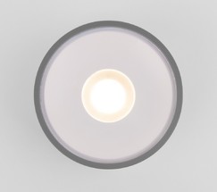 Универсальный уличный светильник Light LED 2135 (35141/H) серый