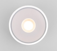 Универсальный уличный светильник Light LED 2135 (35141/H) белый