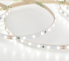 Лента светодиодная 120Led 8W IP20 6500K холодный белый (2116 24V 120Led 8W IP20)