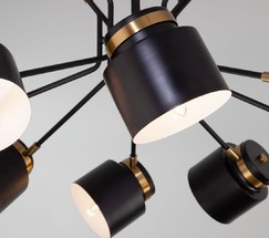 Люстра 70133/8 черный