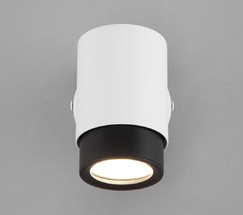 Настенный светильник 20124/1 белый/ черный