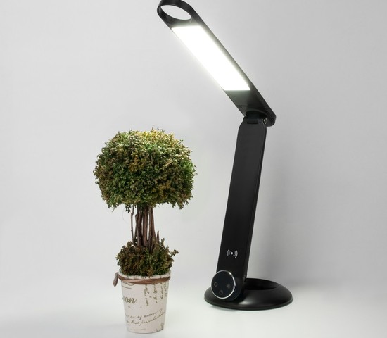 Настольная лампа 80428/1 черный