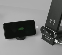 Настольная лампа 80427/1 черный