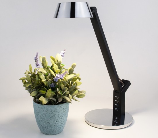 Настольная лампа 80426/1 черный/серебро