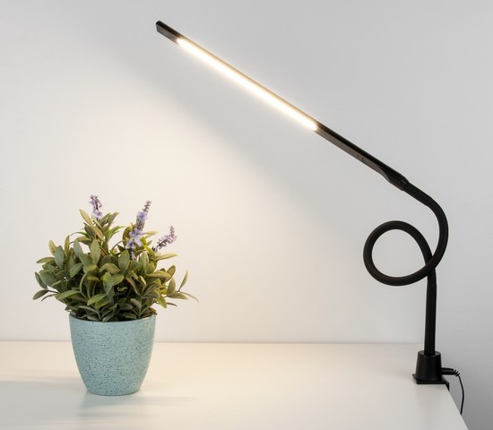 Настольная лампа 80429/1 черный