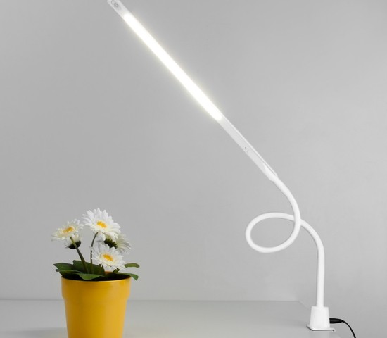 Настольная лампа 80429/1 белый