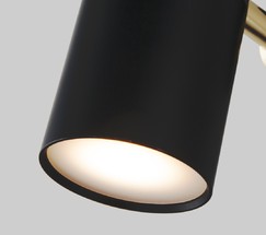 Настенный светильник 20096/1 черный/золото