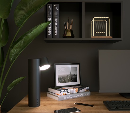 Настольная лампа 80425/1 черный