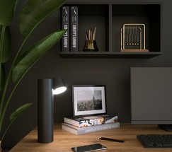 Настольная лампа 80425/1 черный