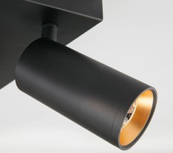 Люстра 20066/4 LED черный/золото