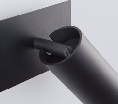 Настенный светильник 20066/2 LED черный/золото