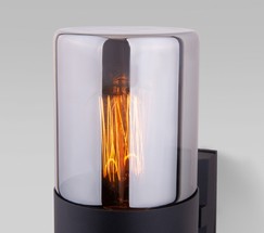 Универсальный уличный светильник Roil (35125/U) чёрный/дымчатый плафон