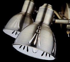 Настенный светильник 20052/2 античная бронза