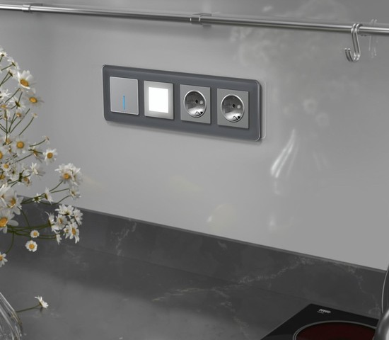 Рамка на 4 поста Elite (графит, стекло) (W0042440)