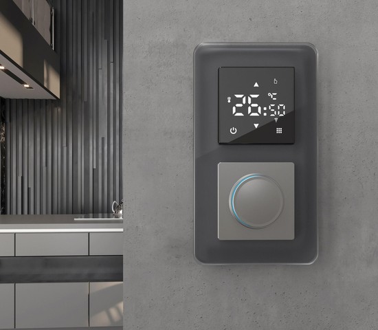 Рамка на 2 поста Elite (графит, стекло) (W0022440)