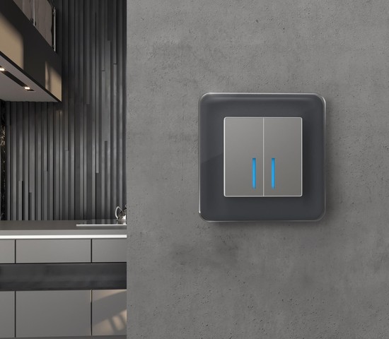 Рамка на 1 пост Elite (графит, стекло) (W0012440)