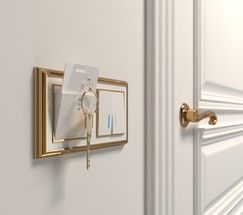 Электронный карточный выключатель (белый) (WL01-01-03)