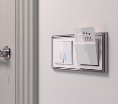 Выключатель двухклавишный с подсветкой (белый) (W1120101)