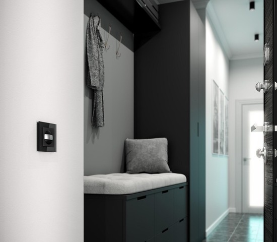 Датчик движения 500 Вт, двухпроводный (черный) (W1155108)