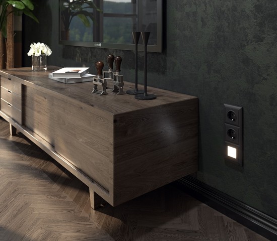 Розетка с заземлением, безвинтовой зажим (черный матовый) (W1171308)