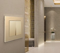 Рамка на 1 пост Aluminium (шампань) (W0011711)