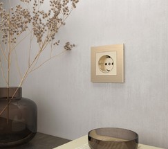 Рамка на 1 пост Aluminium (шампань) (W0011711)