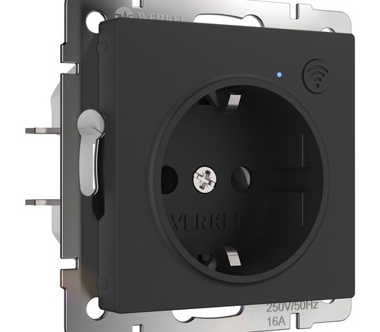 Розетка Wi-Fi (черный матовый) (W1171608)