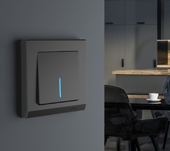 Выключатель одноклавишный проходной с подсветкой (черный матовый) (W1112108)