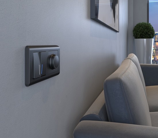 Диммер (графит рифленый) (W1142004)