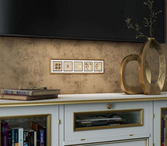 Акустическая розетка (шампань) (W1185011)