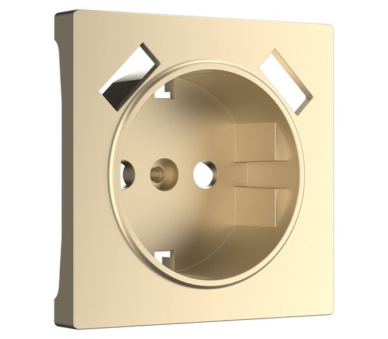 Накладка для розетки USB (шампань) (W1179511)