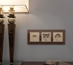 Накладка для розетки USB (шампань) (W1179511)