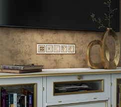 Накладка для розетки USB (шампань) (W1179511)