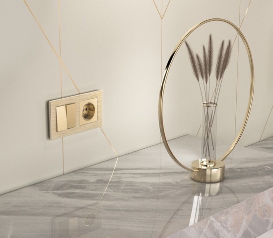 Выключатель двухклавишный (шампань) (W1120011)