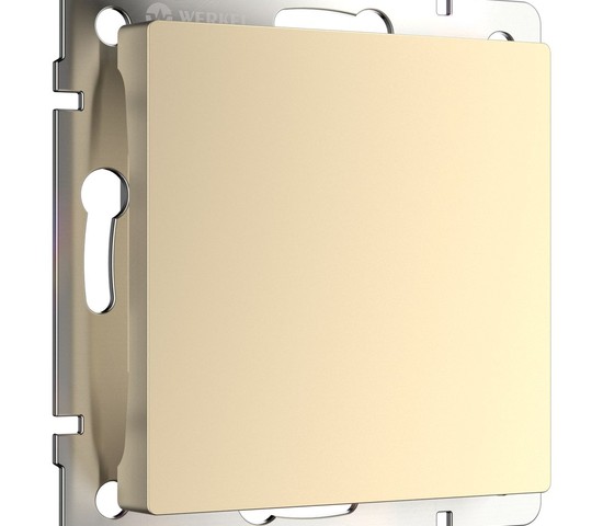 Заглушка (шампань) (W1159211)