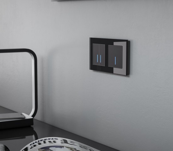 Рамка на 2 поста Favorit (черный,стекло) (W0021108)