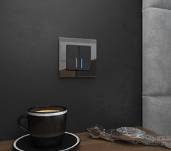 Рамка на 1 пост Favorit (черный,стекло) (W0011108)