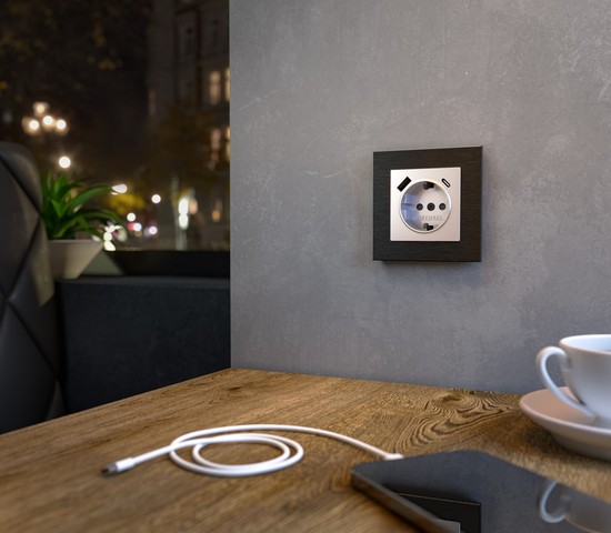 Розетка с заземлением, шторками и USB тип A+C (серебряный) (W1171706)