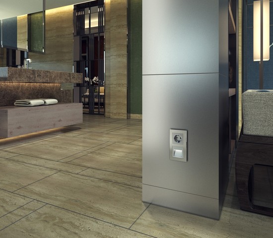 Розетка с заземлением, безвинтовой зажим (серебряный) (W1171306)