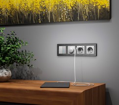 Розетка с заземлением, шторками и USBх2 (серебряный) (W1171506)