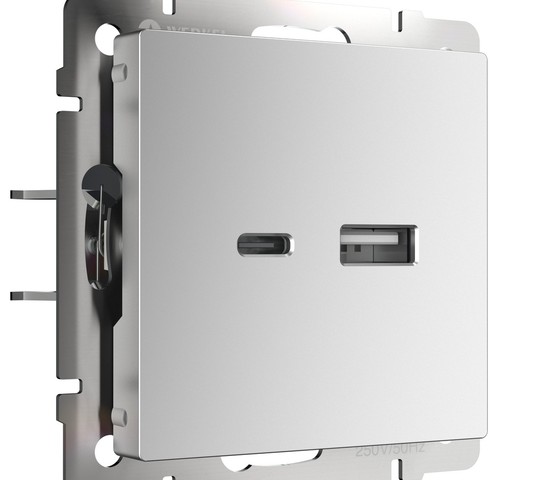 Розетка USB тип A+С (серебряный) (W1171806)