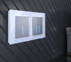 Сенсорный выключатель двухклавишный с функцией Wi-Fi (серебряный) (W4520606)