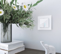 Рамка на 1 пост Favorit (белый матовый,стекло) (W0011105)