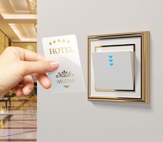 Рамка на 1 пост Palacio (золото/белый) (W0011329)