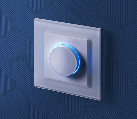 Рамка на 1 пост Favorit (белый,стекло) (W0011101)