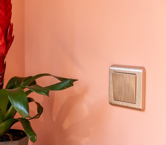 Клавиша для выключателя перекрестного (шампань рифленый) (W1119010)