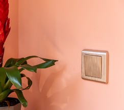 Клавиша для выключателя перекрестного (шампань рифленый) (W1119010)